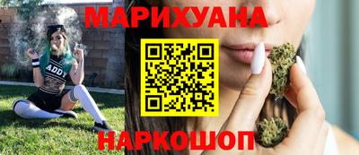 сатива Будённовск
