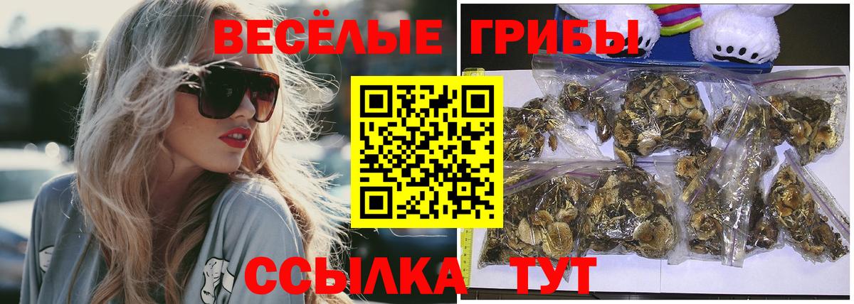 Галлюциногенные грибы Cubensis Свободный